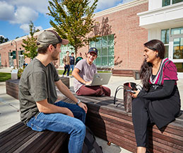 Photo of students studying outside. Link to What to Give.